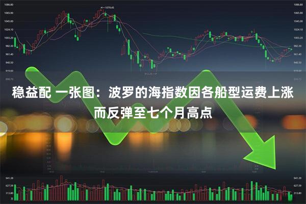 稳益配 一张图：波罗的海指数因各船型运费上涨而反弹至七个月高点