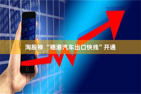 淘股神 “穗港汽车出口快线”开通