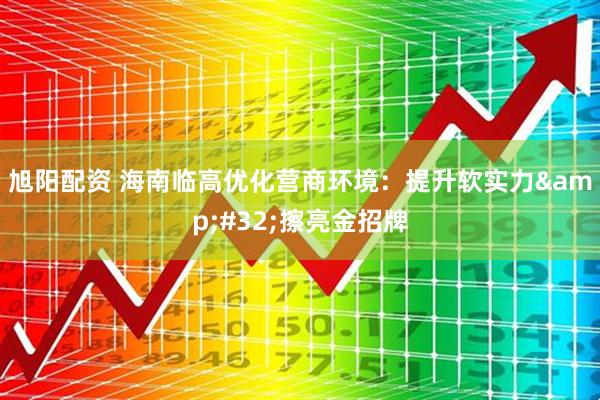 旭阳配资 海南临高优化营商环境：提升软实力&#32;擦亮金招牌